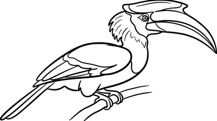 Stylized Line Art Hornbill Bird Perched on Branch © Ucul