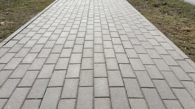 Sunlit paving stone path in park, cinematic closeup of textured gray bricks and mortar, gentle spring sunlight and dew on edges