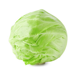Fototapeta premium One whole fresh cabbage isolated on white