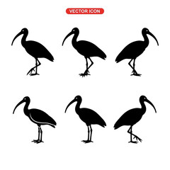 Obraz premium Six Black Ibis Bird Silhouettes in Different Poses.