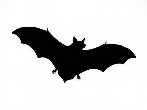 Black bat silhouette flying