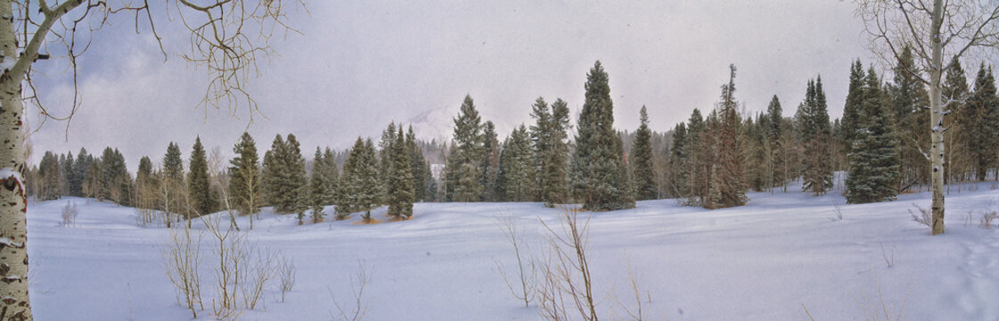 Tibble Fork Loop winter storm snow views from hiking trail Lone Peak Wilderness Uinta Wasatch Cache National Forest, Rocky Mountains, Utah. United States.