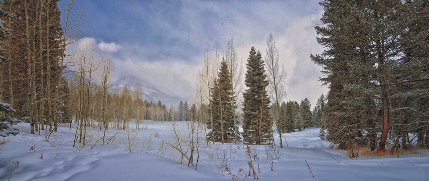 Tibble Fork Loop winter storm snow views from hiking trail Lone Peak Wilderness Uinta Wasatch Cache National Forest, Rocky Mountains, Utah. United States.