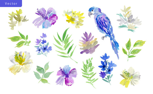 Watercolor Tropical Floral vector Clipart Set, Purple White Hibiscus, Parrot and Leaves for Wedding Invitation, Stationery, Banner
