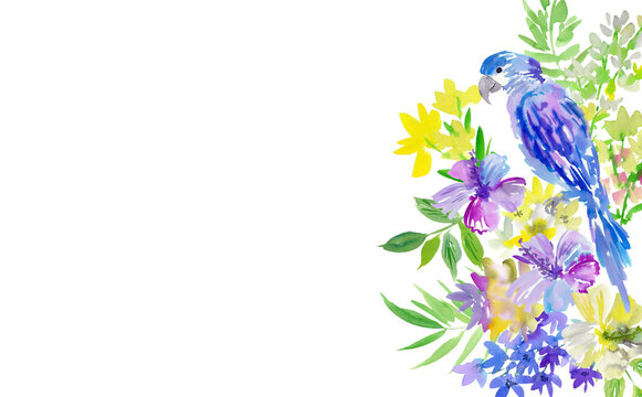 Watercolor tropical floral background with abstract and painted purple and white hibiscus, parrot and leaves for banner, web and greeting card. PNG file.