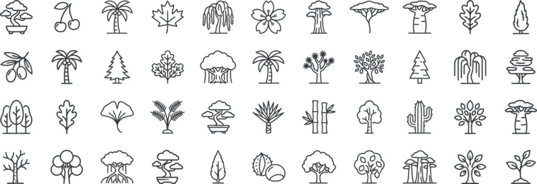 Tree types, leaves and botanical nature line icons set. Vector illustration includes outline symbols of oak, pine, palm, bonsai, ginkgo, cactus, and forest plants.