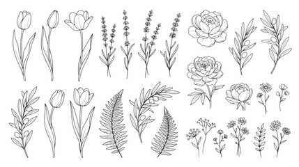Minimalist botanical line art collection, hand drawn floral vector set with tulips and roses, elegant black wildflower sketches for wedding invitations © Dream Time Studio