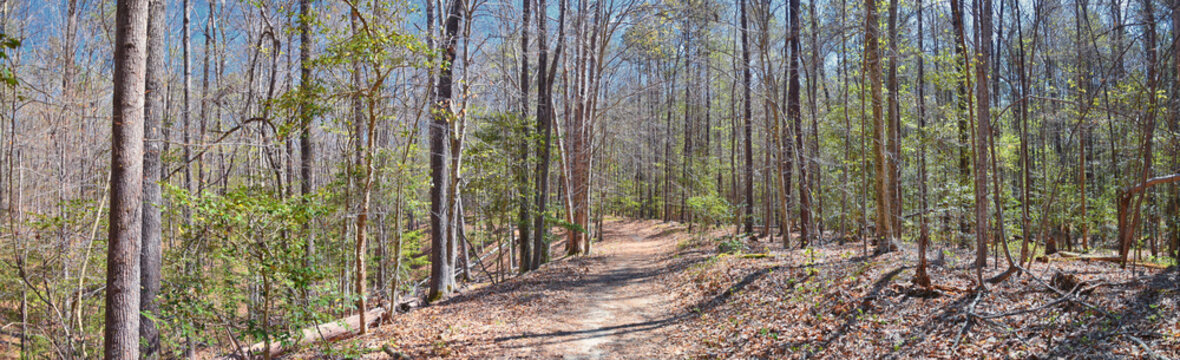 Pocahontas State Park spring forest hiking trail views, Richmond, Virginia, United States.