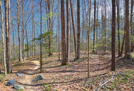 Pocahontas State Park spring forest hiking trail views, Richmond, Virginia, United States.