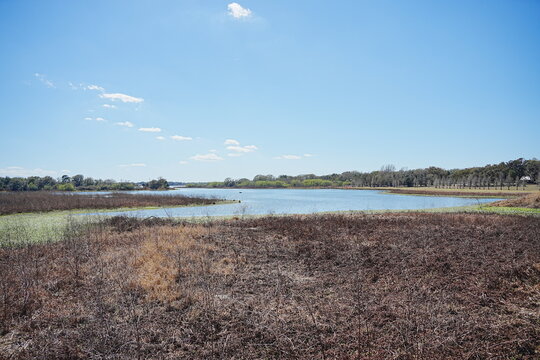 Plant city, Florida, USA: 06 22 2025: The landscape of Edward Medard Conservation Park in Plant City close to Tampa