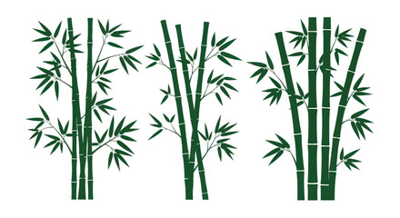 Green Bamboo Stalks with Leaves on White Background, Nature Element © ijo