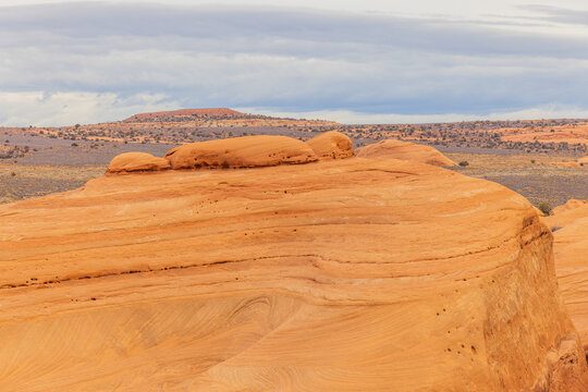 Erosion carves intricate layers into desert sandstone.