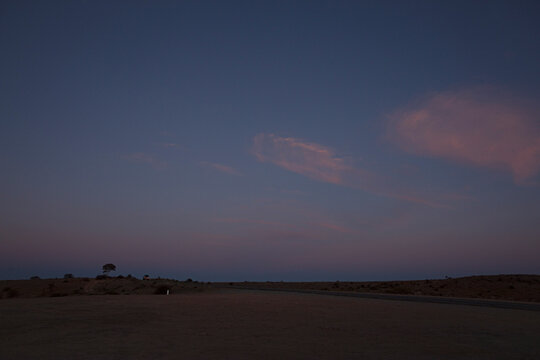 Vast desert landscape of the Mundi Mundi Plains in Australia at dusk with subtle pink clouds and a lone tree silhouette 