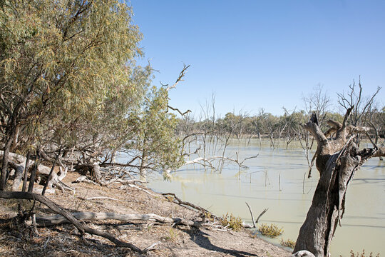 Dry Australian outback landscape at Lake Menindee with a murky water and sparse vegetation
