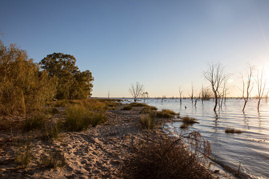 Golden hour looking across Lake Pamamaroo, Menindee Lakes, New South Wales, Australia
