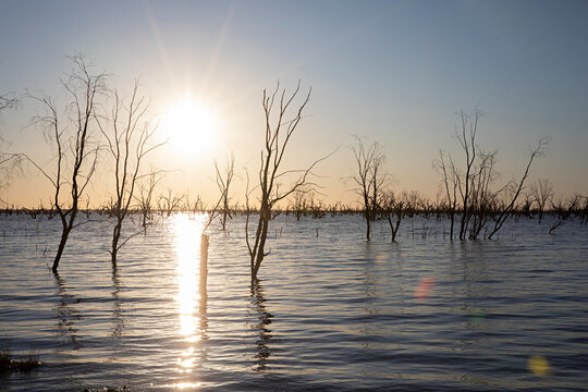 Lake Pamamaroo silhouetted dead trees in a lake at sunset with orange sky and water reflections