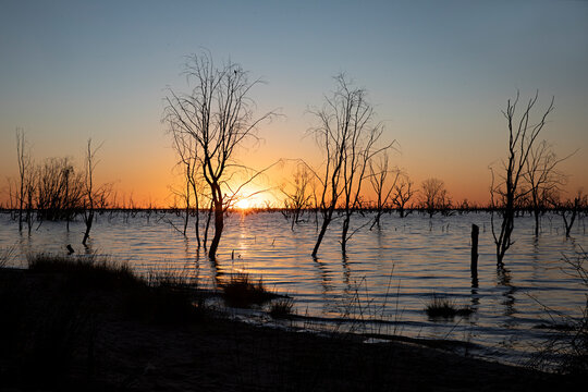 Lake Pamamaroo silhouetted dead trees in a lake at sunset with orange sky and water reflections