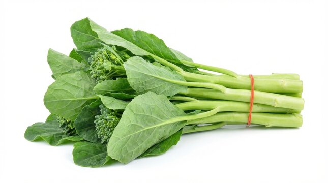 Freshly harvested Chinese broccoli bunch, vibrant green leaves and stems, isolated on white background.