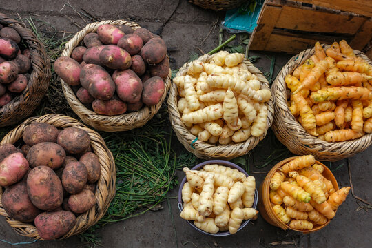 Cajabamba, Ecuador - May 10, 2026: Different types of potatoes at the weekly market in Cajabamba, Ecuador.