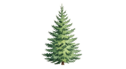 Obraz premium Watercolor Pine Tree Illustration Isolated on White Background