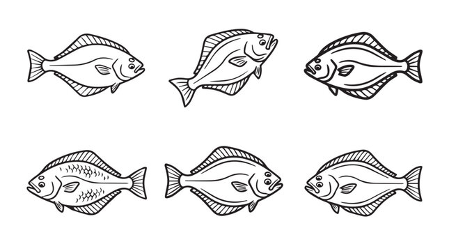 Six black and white illustrations of flounder fish with line art flounder illustration wildlife creature swimming collection monochrome isolated background flatfish