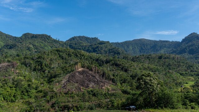 Burning tropical forest to clear land for agriculture in Indonesia mountains