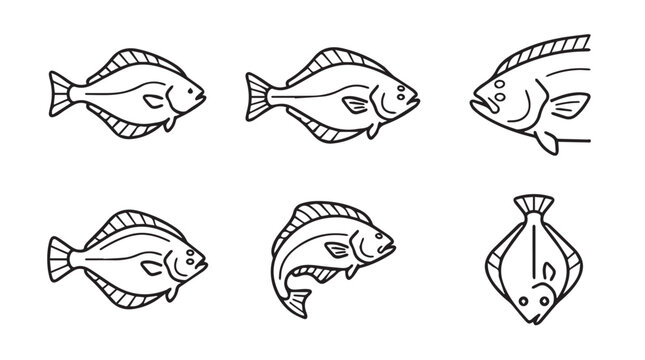 Collection of six flatfish illustrations with line art flatfish flounder wildlife illustration creature background isolated collection