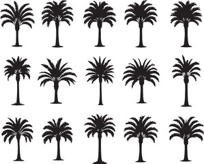 Fototapeta premium Sago Palm Tree Silhouettes Set in Bold Black Vector Style for Tropical Landscape, Garden Design, Nature Branding, Exotic Plant Illustration and Minimalist Decoration