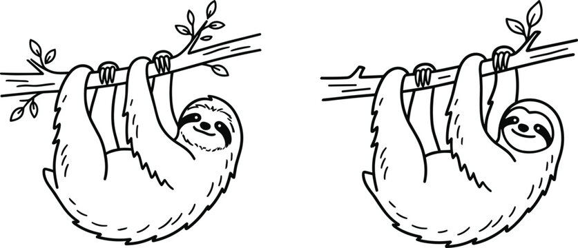 Cartoon sloth vector illustration set hanging from tree branches with leaves for cute wildlife and educational design
