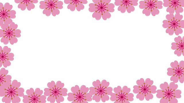 Cherry blossoms pink flowers border frame animation with space for text