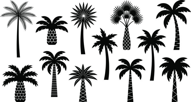 Set of ten black palm tree silhouettes with various trunk textures and leaf shapes isolated on a white background for tropical