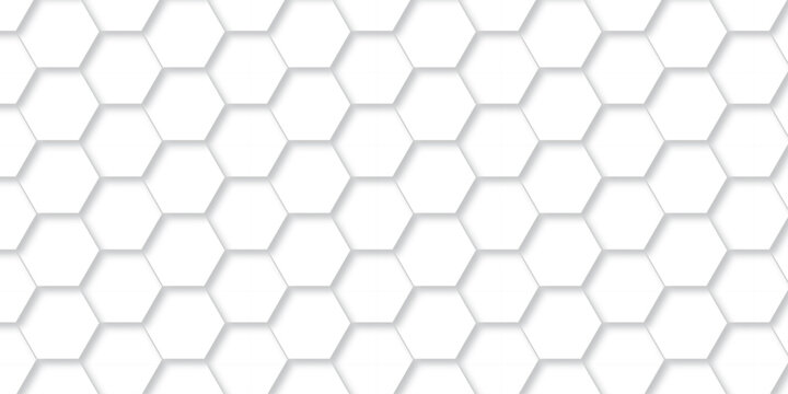 Vector abstract minimal white grid metal hexagon background. Embossed Hexagon, honeycomb white mosaic cell web light shadow texture wall decoration wallpaper design.