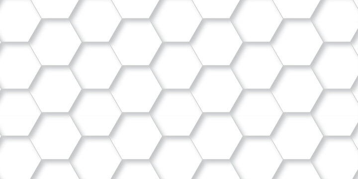 Vector abstract minimal white grid metal hexagon background. Embossed Hexagon, honeycomb white mosaic cell web light shadow texture wall decoration wallpaper design.