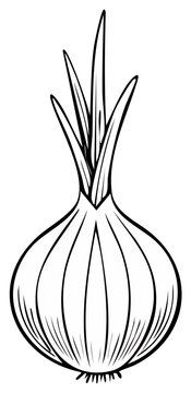Onion Outline Illustration Vegetable Ingredient Cooking Food Fresh Produce Black and White Single Object
