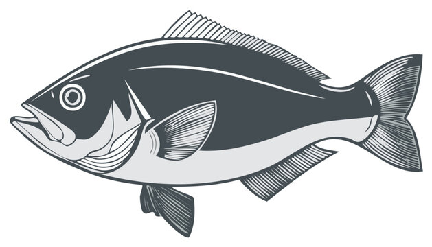 Graphic Illustration of a Dark Fish Swimming, isolated against white backdrop