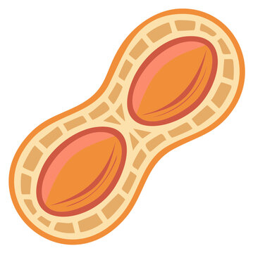 Cartoon Illustration of a Peanut with Seeds