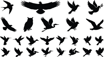 Fototapeta premium Bird Silhouette Collection Vector Set Featuring Flying Perched and Dove Birds Isolated on White Background