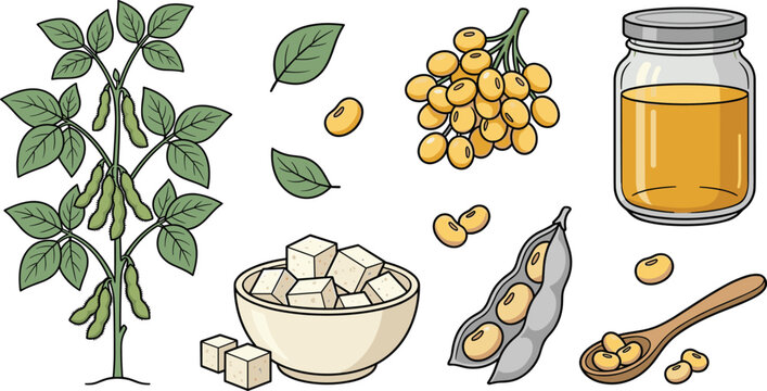 Soybean Plant and Soy Products Collection Featuring Tofu Cubes, Soy Milk Jar, Soybeans in Pod, and Growing Plant for Vegan Nutrition and Plant-Based Food Design