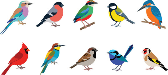 Fototapeta premium Colorful Collection of Diverse Tropical and Garden Bird Species Including Cardinal, Kingfisher, and Sparrow for Nature Illustration, Ornithology Education, and Wildlife Design Projects
