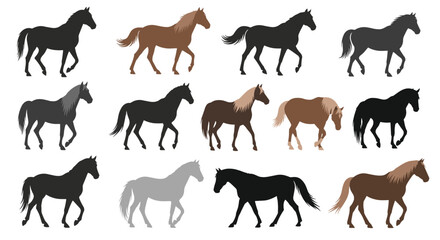 Fototapeta premium Grid of various horse illustrations and silhouettes showing the animals in different walking and running gaits.