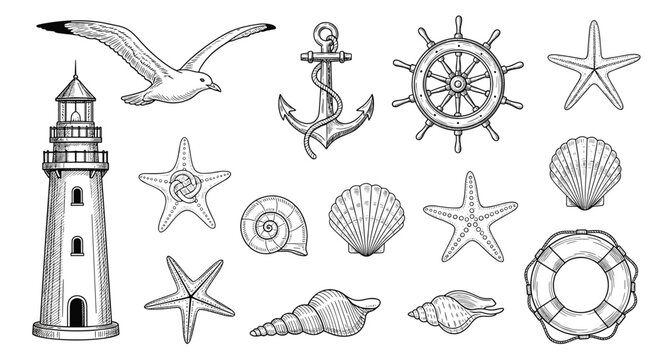 Set of vintage nautical elements including a lighthouse and anchor with seashells for maritime themed design.
