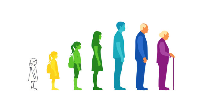 Human Life Cycle Stages: Infancy to Old Age, Colorful Silhouette Progression