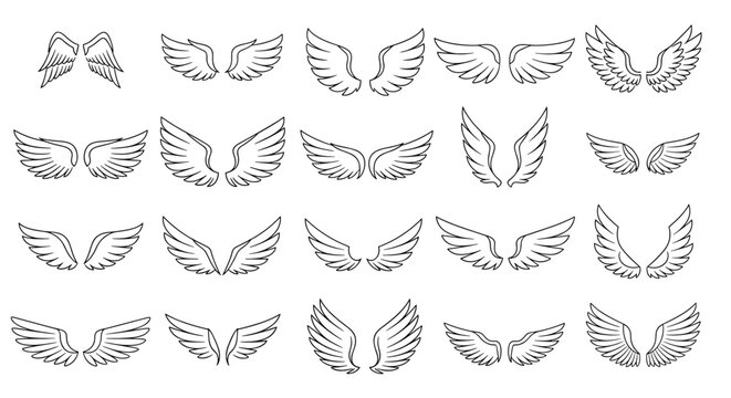 Comprehensive collection of various white feather wing pairs in simple black and white line art for diverse creative uses.