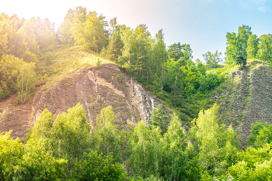 Geological outcrop of stratified Carboniferous limestone on a forested hillside in Siberia