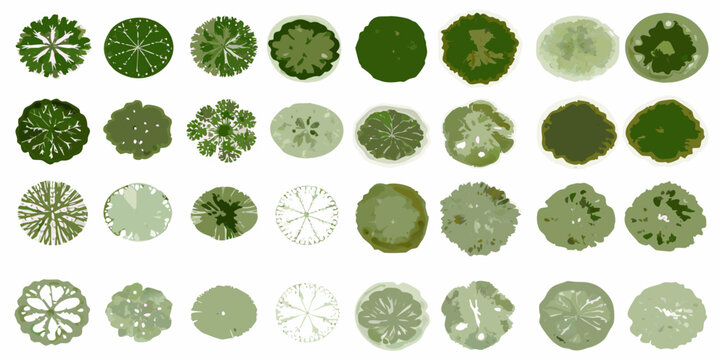 Collection of green tree top views plan view illustration