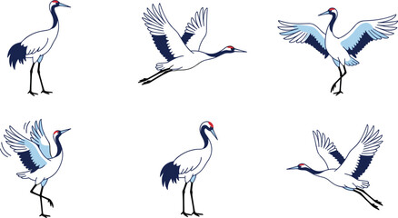 Naklejka premium Vector Illustration of Elegant Cranes in Various Poses Including Flying, Standing, and Spreading Wings.