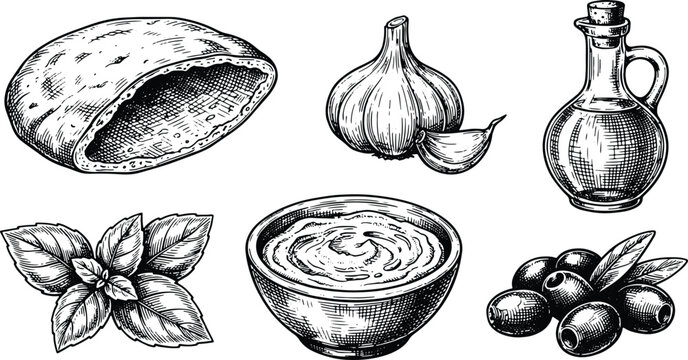 Vintage Mediterranean food collection featuring olive oil garlic basil and hummus engraved illustrations