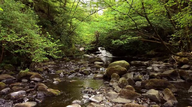 4K 60FPS aerial video of Glenariff in County Antrim, Northern Ireland in the UK. Produced in 3840x2160 and with Rec709 color.
