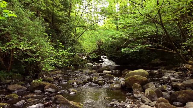 Advancing 4K 60FPS aerial video of Glenariff in County Antrim, Northern Ireland in the UK. Produced in 3840x2160 and with Rec709 color.