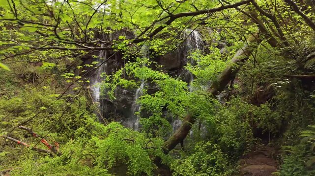 Side-on 4K 60FPS aerial video of Glenariff Waterfall in County Antrim, Northern Ireland in the UK. Produced in 3840x2160 and with Rec709 color.